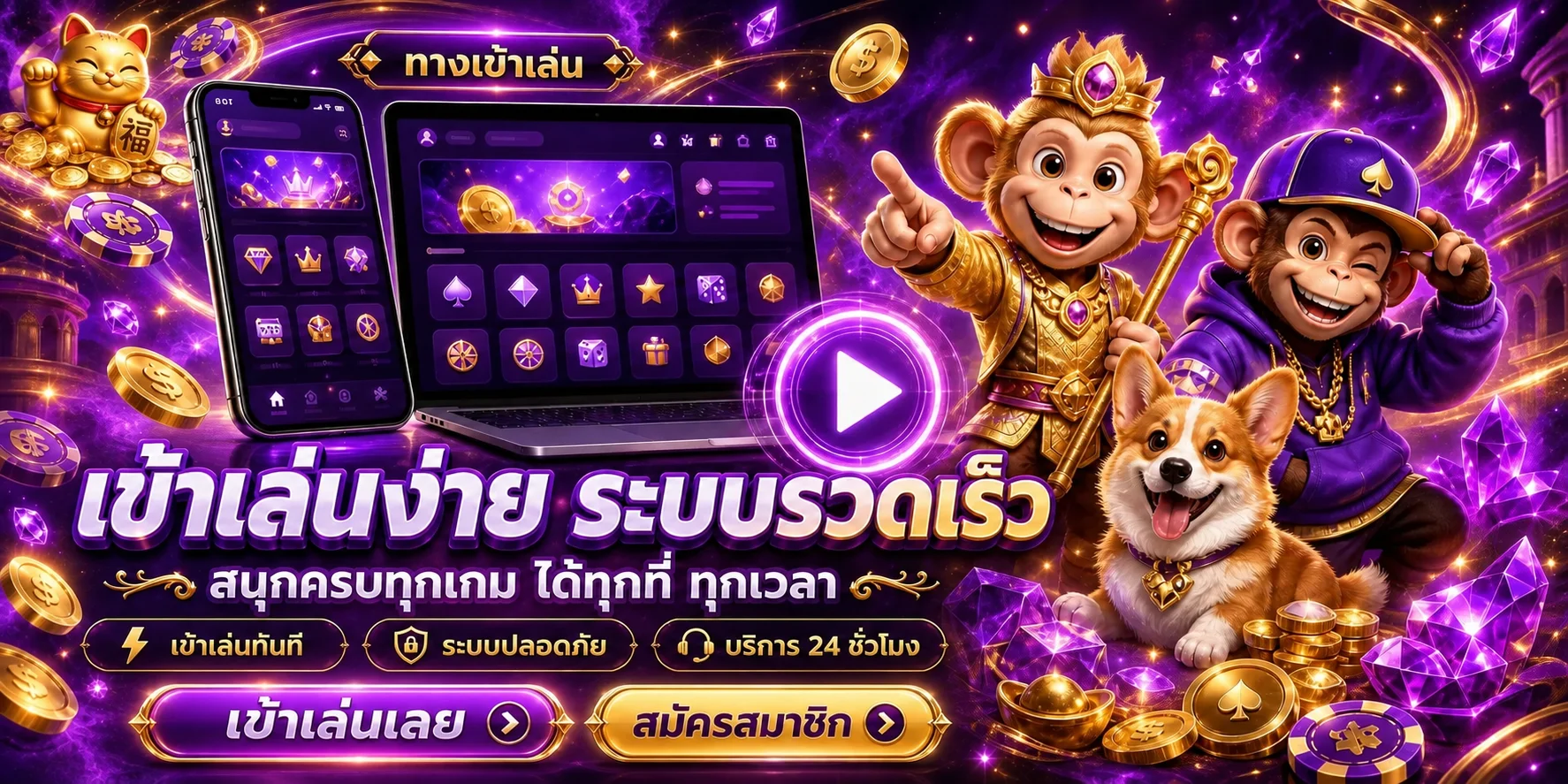 โปรโมชั่น mixzeed
